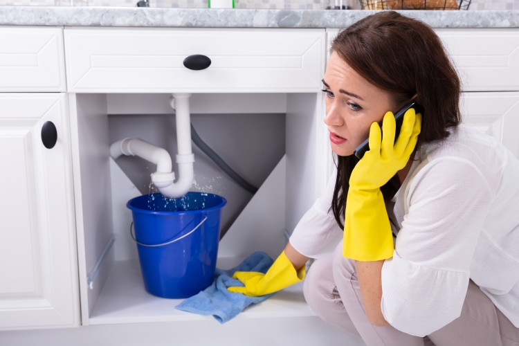 Emergency Plumbing Repairs Lakeland, FL